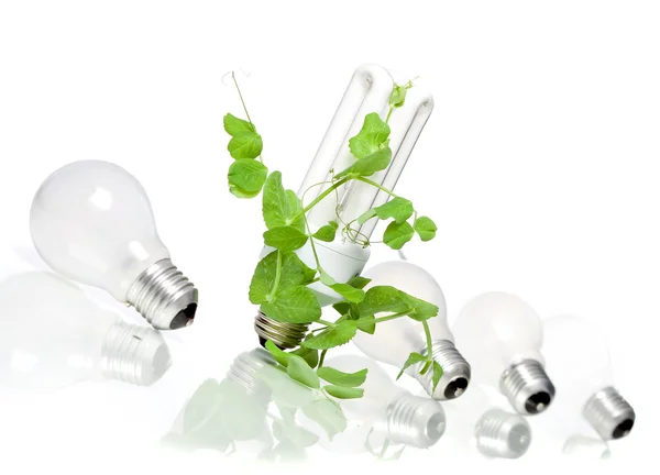 Zielona Energia Nowy Pomysł — Zdjęcie stockowe