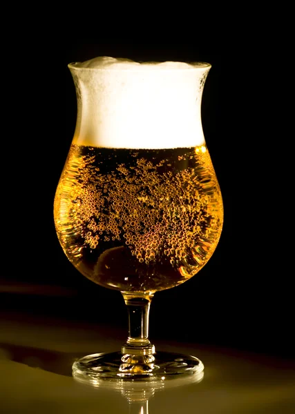 Golden Beer Golden Light — Stock Photo, Image