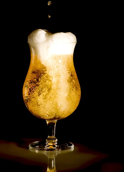 Золотое Пиво Золотой Свет — стоковое фото