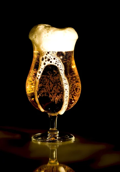 黄金のビール — ストック写真