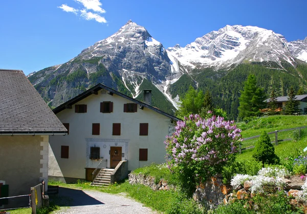 在瑞士的阿尔卑斯山的温泉村 — 图库照片