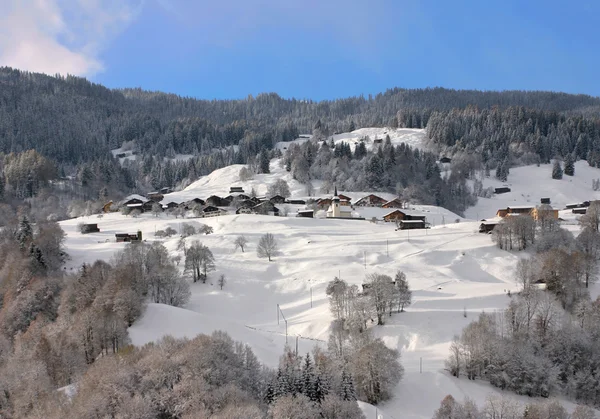 Vintern Visa snö täckte byn och träd — Stockfoto