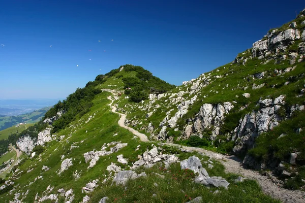 Bergblick mit Gleitschirmen im Hintergrund in Appenzel (Schweiz)) — Stockfoto