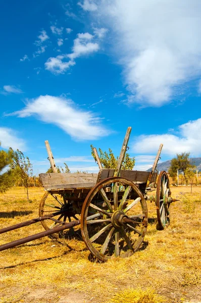 Starý dřevěný vozík na poli — Stock fotografie