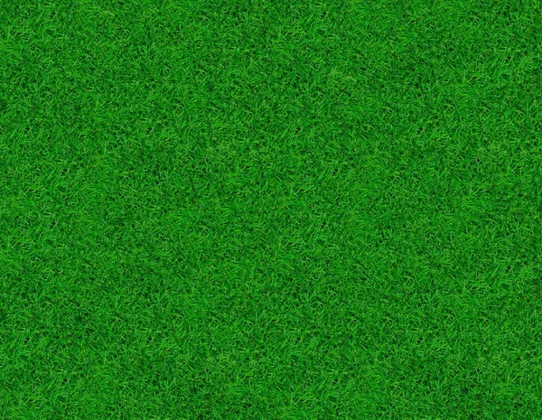 Κοντινό πλάνο εικόνα του φρέσκου πράσινου γρασιδιού άνοιξη — Φωτογραφία Αρχείου