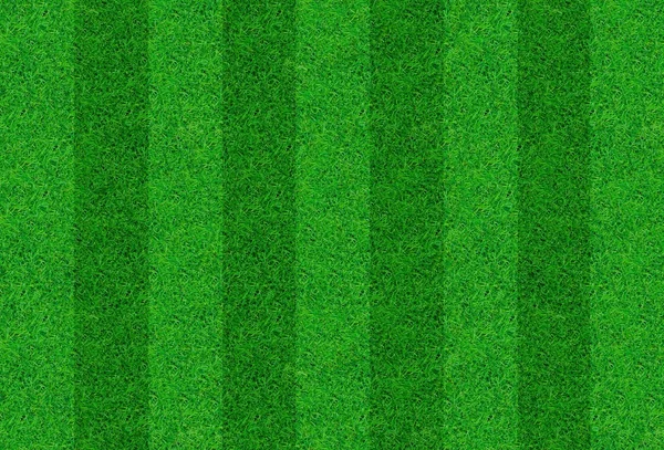 Close-up image of fresh spring green grass — Stock Photo, Image