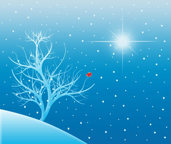 Árvore nevada sob uma estrela brilhante — Fotografia de Stock