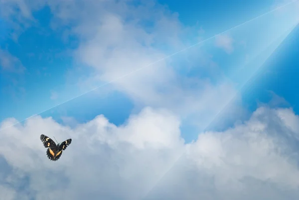 Rayos Luz Brillando Las Nubes Con Una Mariposa — Foto de Stock