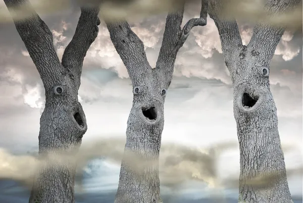 Three Trees Funny Scary Faces Misty Forest — Stock Photo, Image