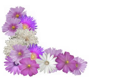 Beautiful Pastel Flower Border clipart