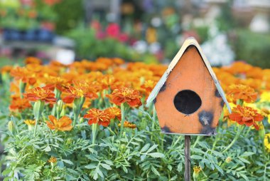 Bird House in Marigolds clipart