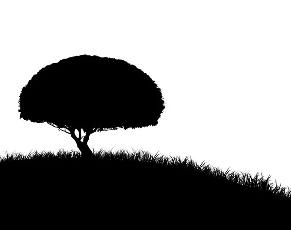 stock image Tree Silhouette on Grassy Hill