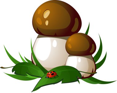 Ceps clipart