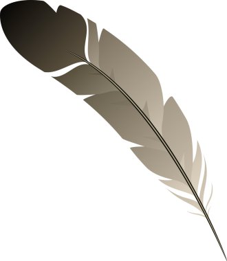 Feather clipart