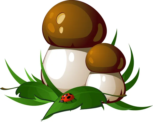 Белые грибы — стоковый вектор