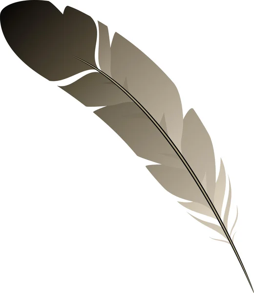 stock vector Feather
