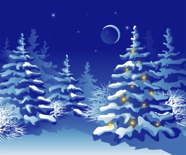 Geceleyin Kış Noel Ormanı