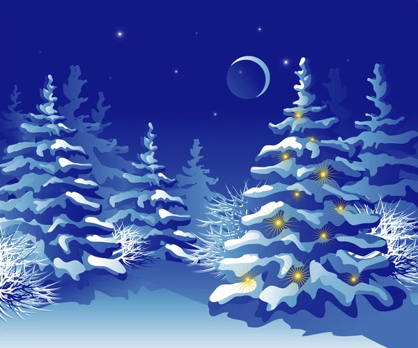 Winter-Weihnachtswald bei Nacht — Stockvektor