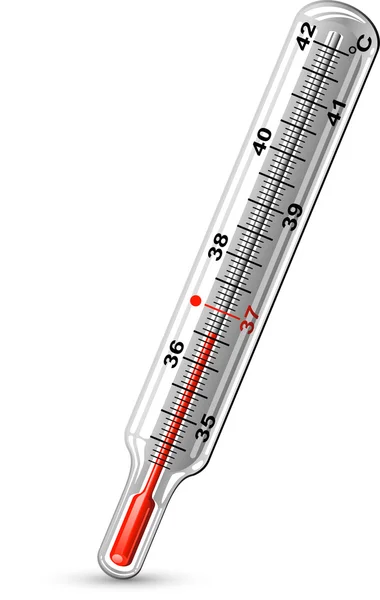 温度计；温度计 — 图库矢量图片