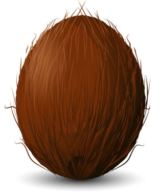 Coconut clipart