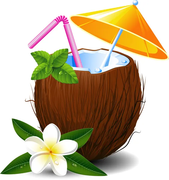 Exotic coconut cocktail Vector Graphics