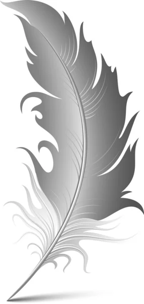 Plume — Image vectorielle