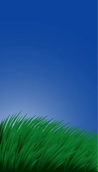 Hintergrund mit Gras und Himmel — Stockvektor