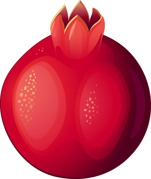 Fruta de la granada — Archivo Imágenes Vectoriales