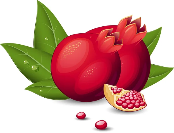 Frutti di melograno — Vettoriale Stock