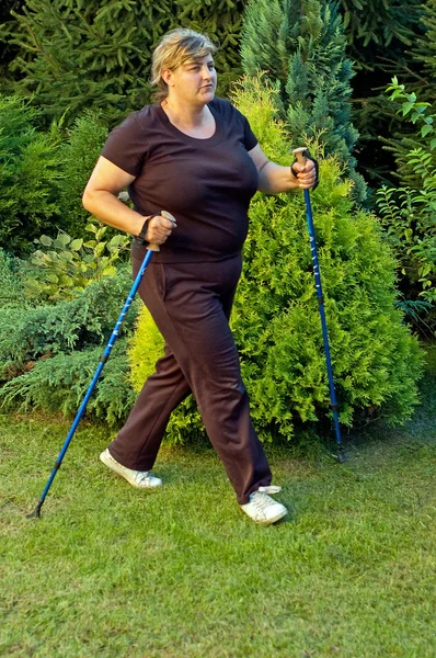 stock image Nordic walking