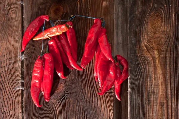 stock image Red Chili Peppers hanging