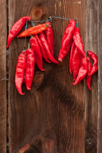 stock image Red Chili Peppers hanging