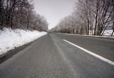 boş kış yol ağaçları ile