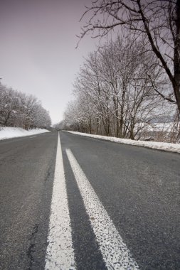 boş kış yol ağaçları ile