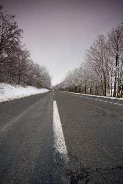 boş kış yol ağaçları ile