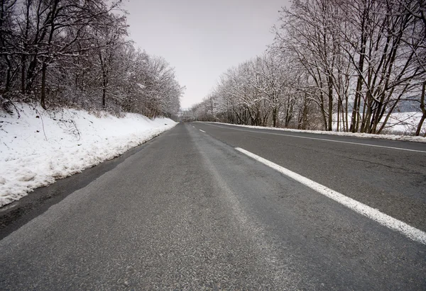 Empty Winter Road Trees — Stock Photo, Image