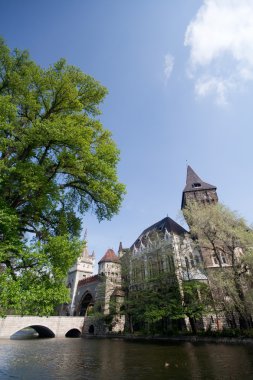 Vajdahunyad castle, Budapeşte, Macaristan