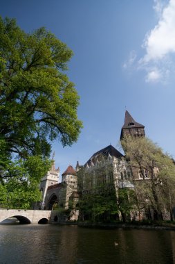 Vajdahunyad castle, Budapeşte, Macaristan