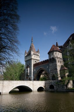 Vajdahunyad castle, Budapeşte, Macaristan