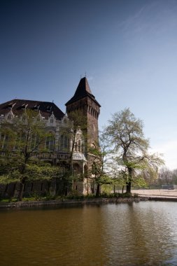 Vajdahunyad castle, Budapeşte, Macaristan