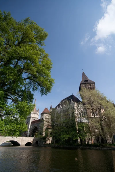 Vajdahunyad castle, Budapeşte, Macaristan