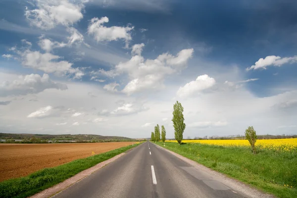 stock image Highway with rape and blue sky