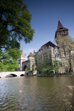 Vajdahunyad castle,