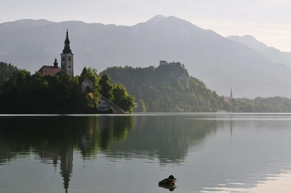 Jezioro Przeciekać Kościoła Wyspie Zamek Słowenia Europa Wczesnym Rankiem Zdjęcie — Zdjęcie stockowe