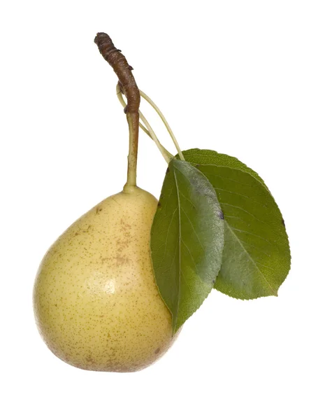 Pears — Stock Photo, Image