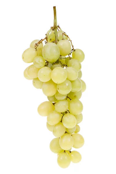 Виноградний кластери — стокове фото