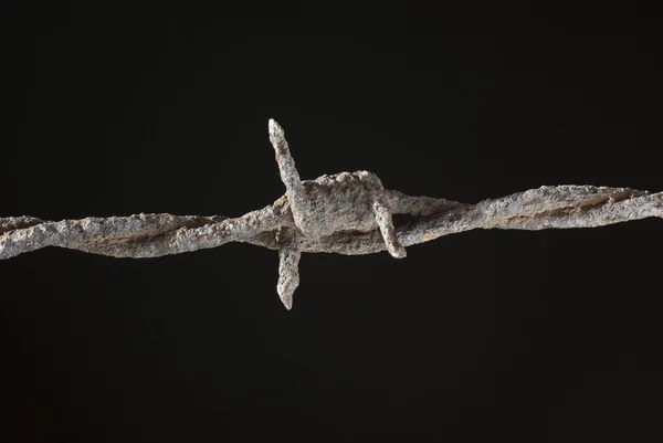 有刺鉄線 — ストック写真