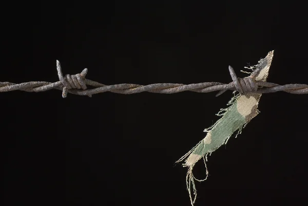 Stock image Barbed wire