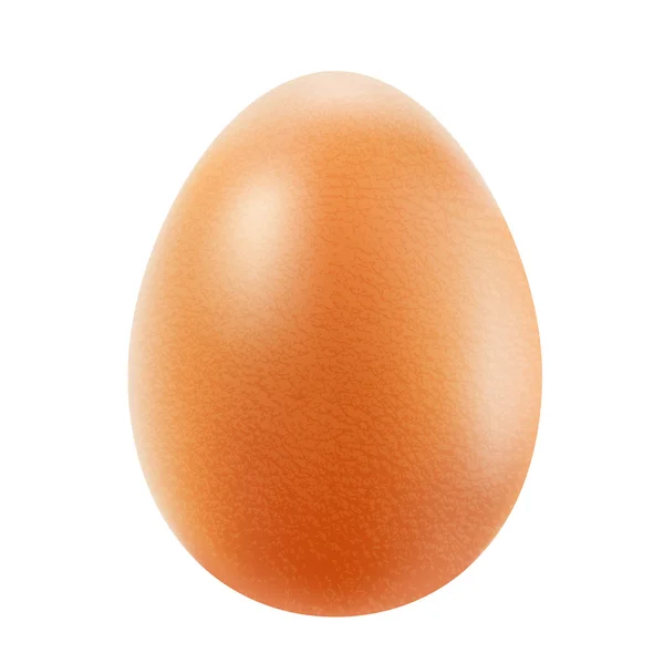 Reális barna tojás elszigetelt fehér background — Stock Vector