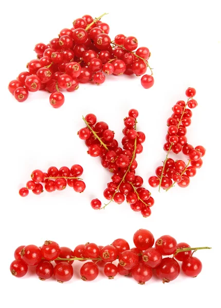 stock image Studio currants